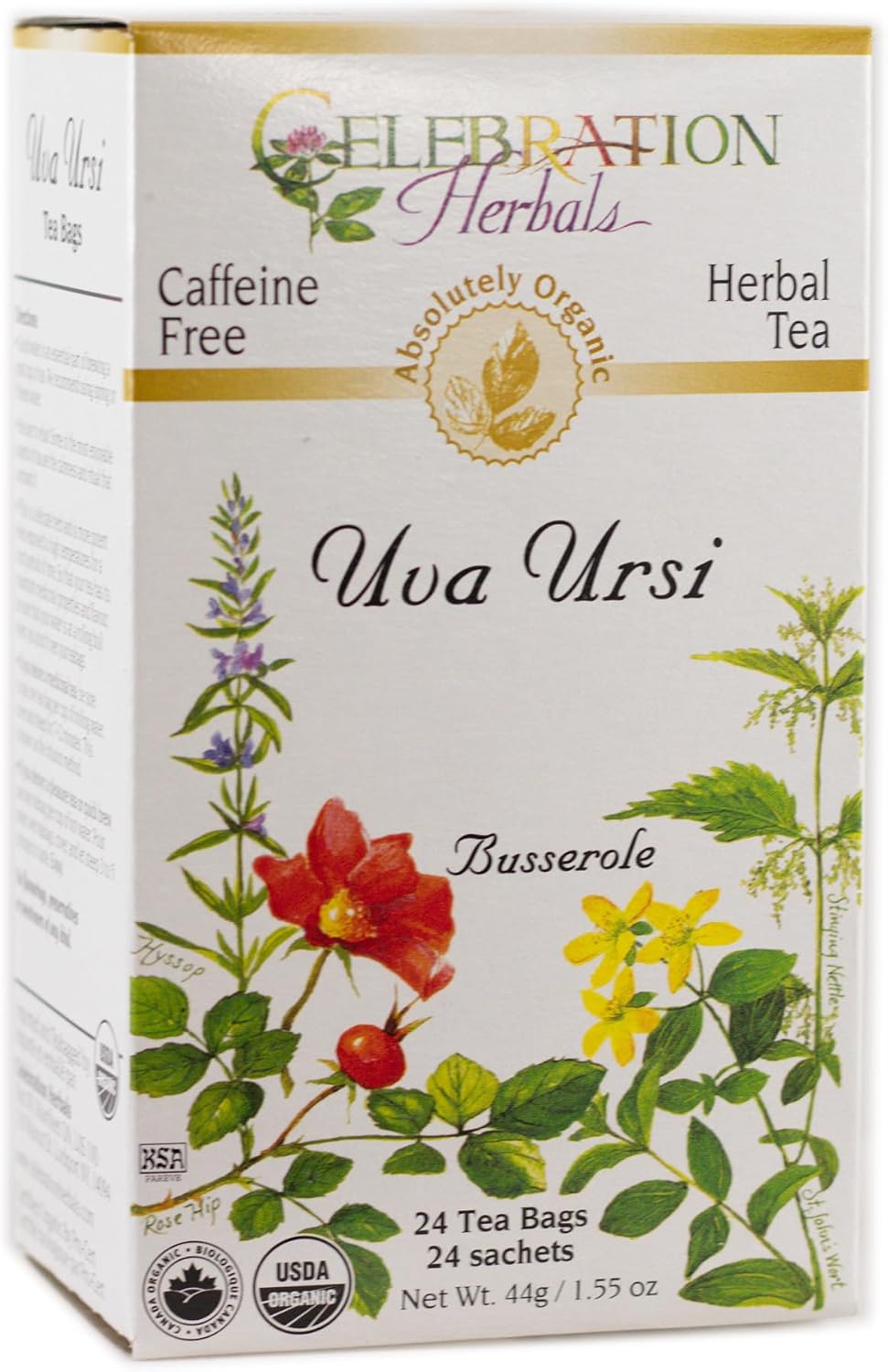 CELEBRATION HERBALS Té de Uva Ursi, 24 bolsitas, 0.02 libras — imagen 1