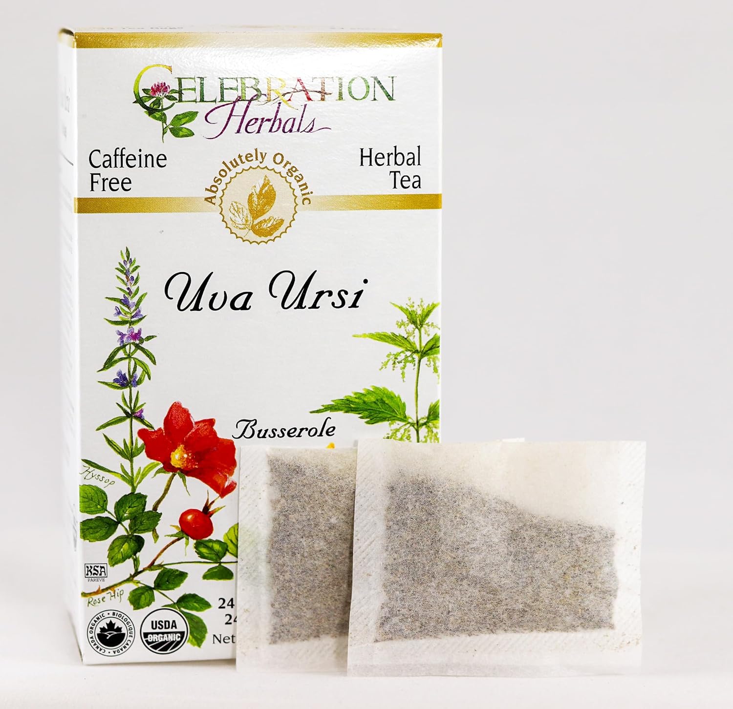 CELEBRATION HERBALS Té de Uva Ursi, 24 bolsitas, 0.02 libras — imagen 2