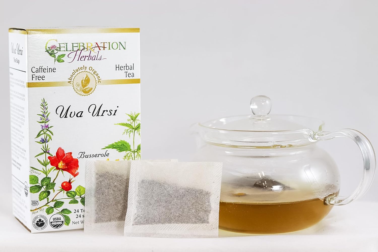 CELEBRATION HERBALS Té de Uva Ursi, 24 bolsitas, 0.02 libras — imagen 3